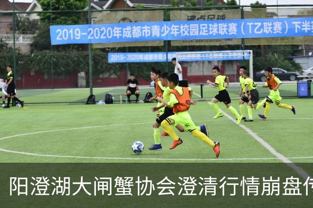阳澄湖大闸蟹协会澄清行情崩盘传言：正宗阳澄湖大闸蟹供需平稳